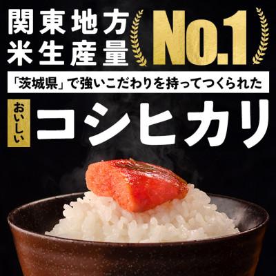 ふるさと納税 笠間市 令和7年度 笠間産 コシヒカリ 5kg　精米 |  | 01