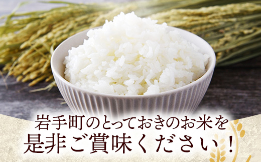 【訳あり】令和7年産生活応援米10kg 岩手町産 米 新米 白米 ブレンド米 ブレンド ごはん 新鮮 粘り 甘み おすすめ 家計応援 送料無料 農家直送 こめ 岩手 岩手県 岩手町 Mふぁ～む