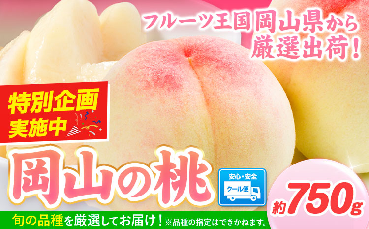 岡山の桃 約750g《最短翌日！1-5営業日以内に発送（土日祝除く）》 岡山県 矢掛町 桃 もも 先行予約 もも 白鳳 もも 桃 先行予約 桃 先行予約 桃 もも