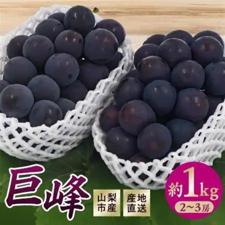 【2026年発送】山梨市産　巨峰　約1kg(2～3房)【配送不可地域：離島】【1706556】