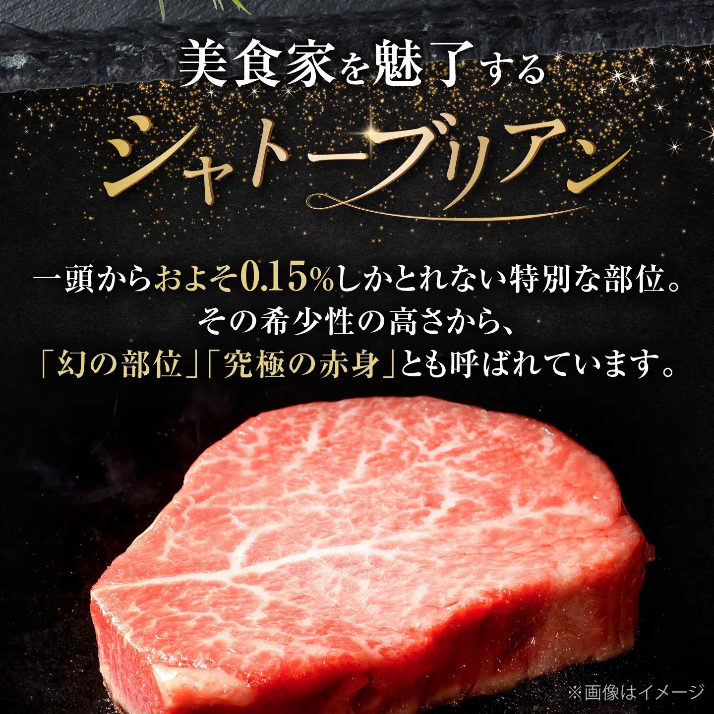 博多和牛 シャトーブリアン ブロック 1kg VFD048 シャトーブリアン ブロック 