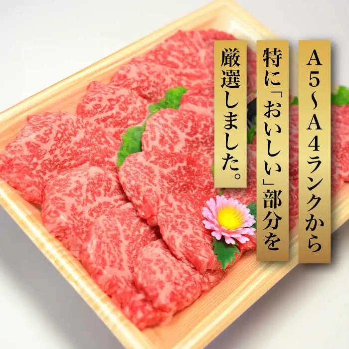 【全6回定期便】A5‐A4ランク 博多和牛 厳選セット（計1150g）焼肉たれ・塩胡椒付 [ABCJ118]