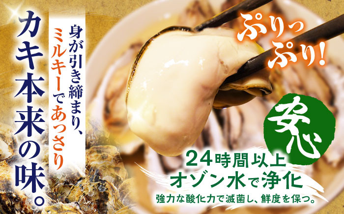 うず潮 カキ 3kg ナイフ付き