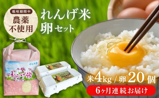【全6回定期便】【令和7年度米】4kg・放し飼いたまご20個セット ヒノヒカリれんげ米 元気たまご【浅田峠自然塾】 [EA21]