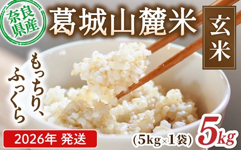 
                  先行予約 葛城山麓米 ヒノヒカリ（玄米）計5kg [ 5kg×1袋 ] 令和8年産 【2026年10月下旬～順次発送】／ スマイル葛城農業 若手農家 玄米 栄養 新規就農 ごはん お米 米 おいしい ふっくら 農家直送 奈良県 葛城市【smlk024】
                