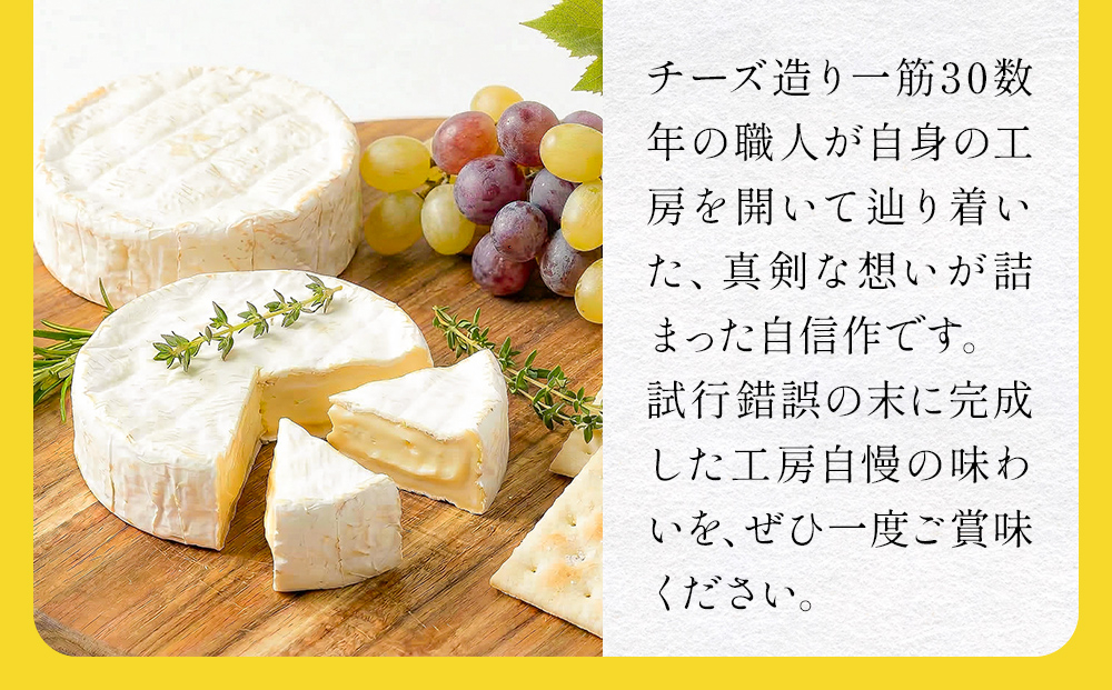 【6月配送】 カマンベールチーズ 1個 缶タイプ チーズ工房角谷 KAKUYA カマンベール 配送月指定