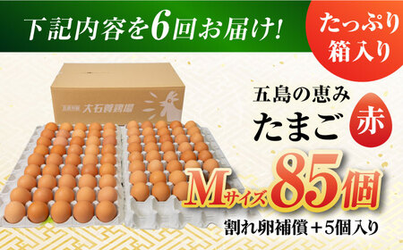 【6回定期便】【箱入り】五島の恵みたまご Mサイズ 85個入 / 卵 赤玉子 五島市 / 五島列島大石養鶏場[PFQ015]  玉子 タマゴ 鶏卵 希少 五島列島