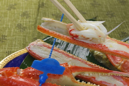 ボイル 松葉ガニ／日本海産 ブランド蟹 茹で松葉蟹 【厳選】 大サイズ　matubakani900　茹で松葉ガニ・ボイルズワイガニ・ゆでズワイガニ・タグ付き