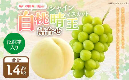 詰合 白桃 2玉 （1玉220g以上） シャインマスカット晴王 2房 （1房480g以上） 化粧箱入り 【2025年7月下旬～8月上旬迄発送予定】 果物 くだもの フルーツ 桃 もも モモ ぶどう ブドウ 葡萄 マスカット 詰合せ 詰め合わせ 岡山 おかやま 国産 冷蔵