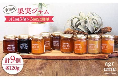 【全3回定期便】 季節の果実ジャム 毎月3本（120g/本） 長与町/アグリューム [EAI007] 瓶 ジャムセット ジャム 定期便 定期