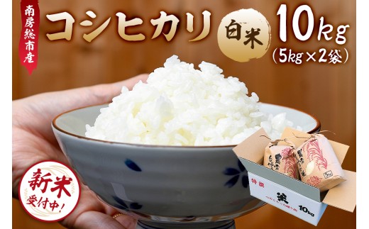 【新米】【令和8年産】南房総市産コシヒカリ白米10kg（5kg×2袋） mi0018-0015【お米 精米 ごはん こしひかり おにぎり ブランド米 国産米】