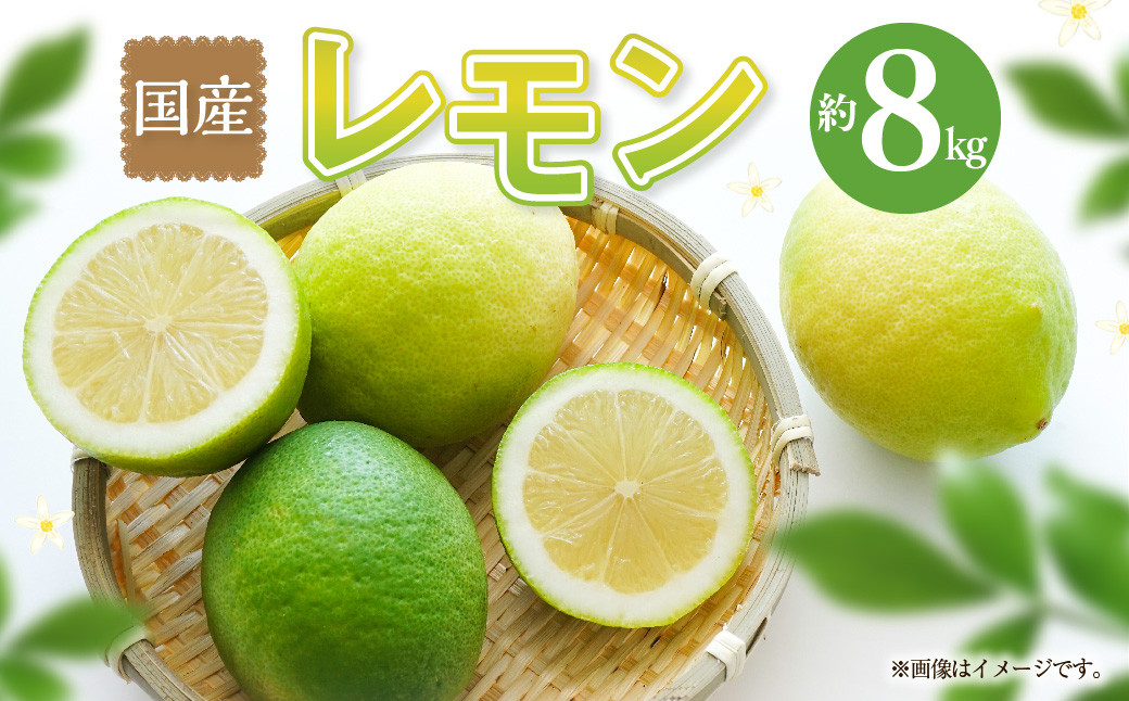 
                  【数量限定】【先行予約】国産レモン 約 8kg 果物 くだもの フルーツ 檸檬 れもん レモン 常温 熊本 熊本市【2026年9月上旬～11月下旬発送予定】
                