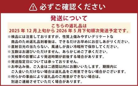 デコポン I12光センサー選果 約2kg （5～10玉） 【2025年12月上旬から2026年5月下旬発送予定】 でこぽん 蜜柑 みかん 果物 果実 フルーツ 熊本県 熊本市 常温