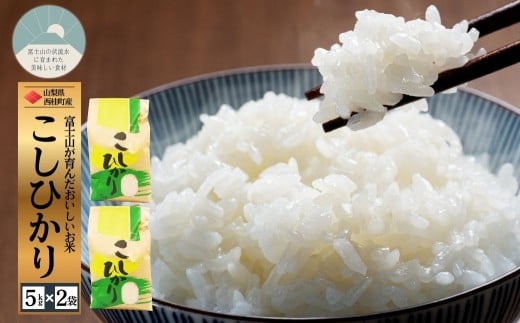 コシヒカリ 5キロ 2袋 / 国産 こしひかり  10キロ 令和7年 新米 米 お米 保存袋 生活必需品 ギフト 贈り物 お歳暮 ふるさと納税 送料無料【n0663-10_gou】