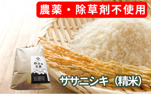 
農薬・除草剤不使用 体に優しいササニシキ「郷山のお米」20kg(5kg×4袋)(精米)
