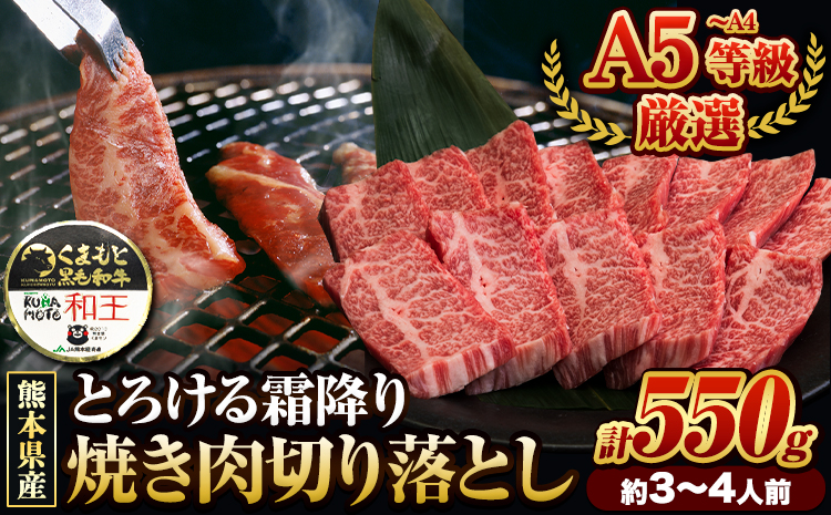 くまもと黒毛和牛 和王 バラ 霜降り 焼肉切り落とし 550g A5 A4 等級《30日以内に出荷予定(土日祝除く)》熊本県 大津町 黒毛和牛 牛肉 冷凍 個別 取分け 小分け チャック付き バラ凍結 肉 お肉 焼き肉 焼き肉用---oz_lcl_230_550g---