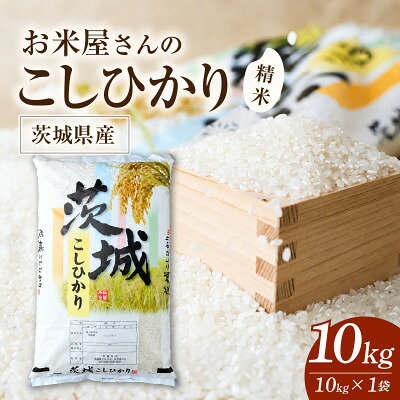 【ふるさと納税】令和8年産 新米 お米屋さんのコシヒカリ 精米 10kg(1袋)【1787838】