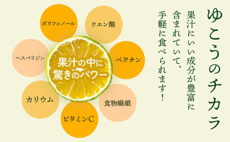 ＜ 先行予約 ＞ 幻の果実ゆこう 約2.5kg～3kg テロワール《2024年10月下旬から出荷(土日祝除く)》 徳島県 上勝町 柚香 柑橘 柚子 ユズ 無農薬 無化学肥料 果物