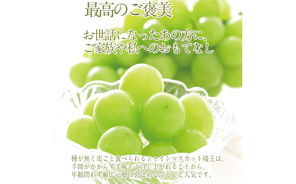  【2回定期便】プレミアム シャインマスカット 晴王 1房 約700g