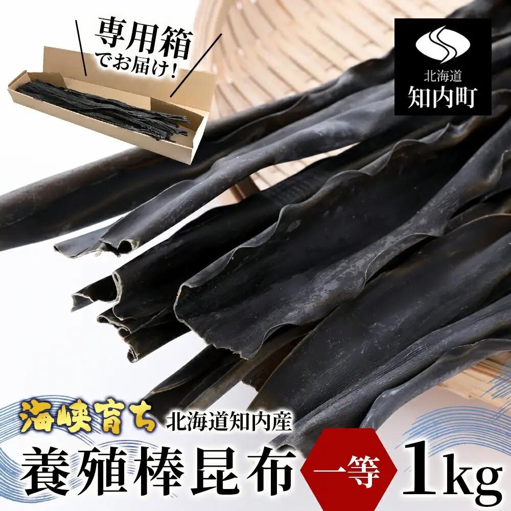 〈予約受付〉1等級 乾燥昆布 1kg 【上磯郡漁業協同組合】 知内 出汁 だし 北海道 コンブ こんぶ