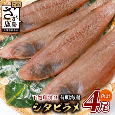 ふるさと納税 鹿島市 【下処理済で簡単調理】有明海産 シタビラメ約150g×4尾【合計約600g】
