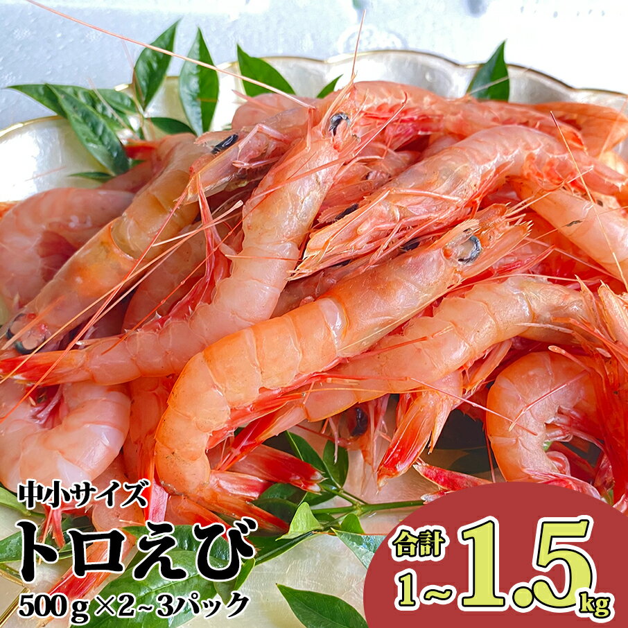 【ふるさと納税】 えび 海老 トロえび 中 小 サイズ 1.0kg~1.5kg 冷凍 500g 2~3パック お刺身 駿河湾 エビ エビチリ エビ餃子