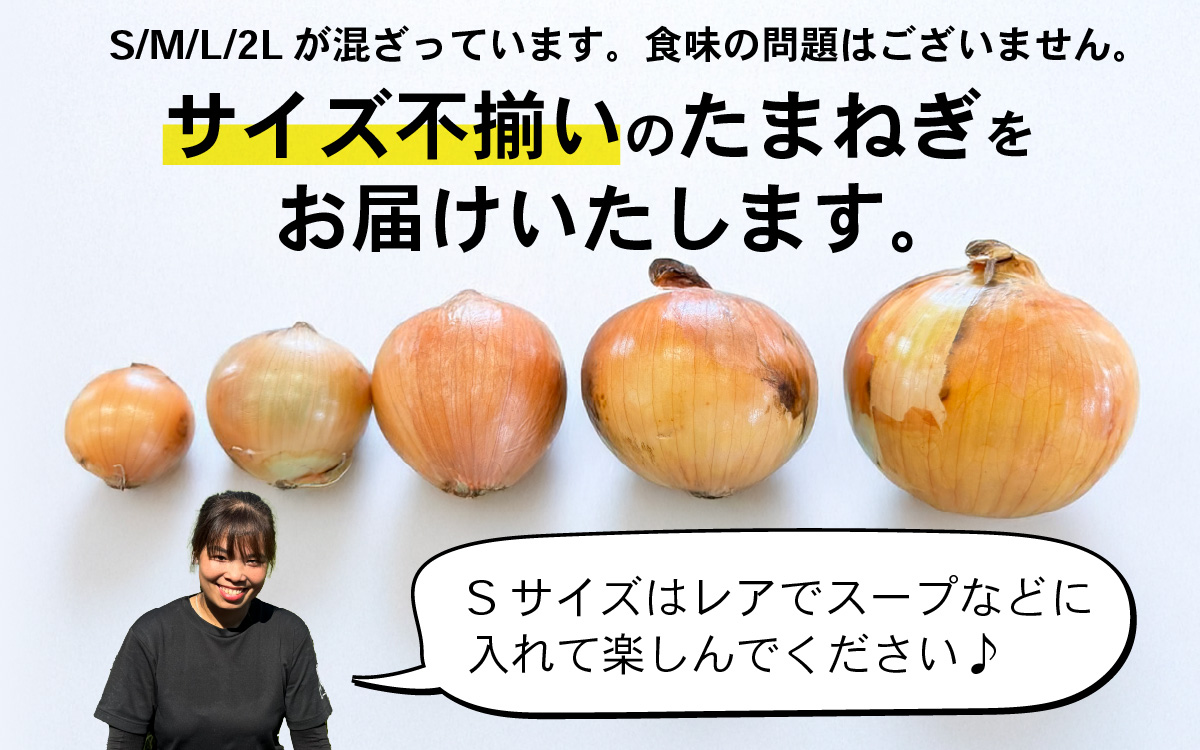 淡路島 新玉ねぎ 6kg 訳あり サイズ不揃い 簡易箱でお届け