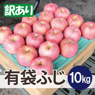 
            ＜26年6月出荷予定＞平均糖度13度以上! 有袋ふじ 約10kg 訳あり CA貯蔵 クール便【1613046】
          