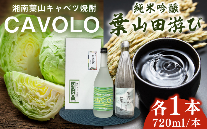 
純米吟醸「葉山田游び」＆湘南葉山キャベツ焼酎「CAVOLO」セット ／ お酒 日本酒 神奈川県 特産品【リカーズかさはら】 [ASBB002]
