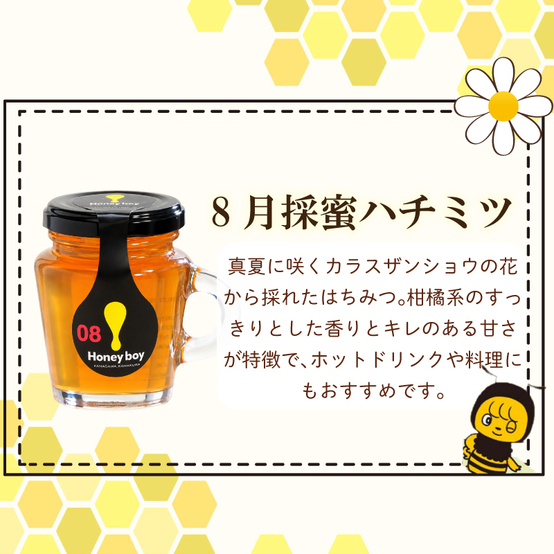 【国産】 Honeyboyシリーズ 2個   ふじのくに 新商品 コレクション 最高 金賞 受賞 ハチミツ 蜂蜜  国産 百花蜜 ギフト 贈答品 高糖度 保存食 母の日 安心 安全 非加熱 蜜 天然 