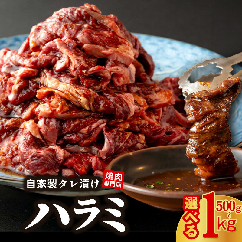 【ふるさと納税】焼き肉専門店 ハラミ サガリ 自家製 タレ漬け 500g 250g×2 / 1kg 250g×4 選べる 内容量 焼肉 BBQ 牛ハラミ 牛肉 お肉 肉 味付け肉 プロの味 簡単調理 真空パック 小分け セット 冷凍 大阪府 泉佐野市 送料無料 肉の泉佐野