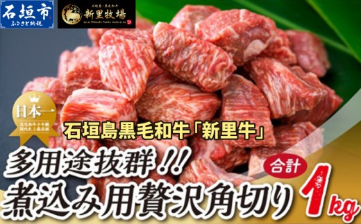 
                  石垣島産 黒毛和牛 新里牛 多用途抜群！煮込み用贅沢角切り（500g×2） 合計1kg以上 カレー シチュー SZ-44
                