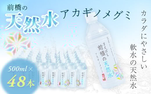 水 ミネラルウォーター 500ml 24本×2箱 48本 合計24L | 飲料水 みず ナチュラル ミネラルウォーター 天然水 軟水 長期保存 備蓄 防災  水 ミネラルウォーター ペットボトル 長期保存水 備蓄水 備蓄用 非常災害備蓄用 災害用 避難用品 防災グッズ 国産 群馬県 前橋市