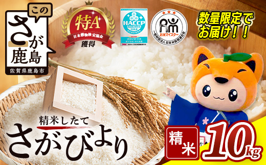 さがびより 佐賀県産 10kg 白米【16年連続 特A評価】 ふるさと納税 佐賀県 鹿島市 B-20