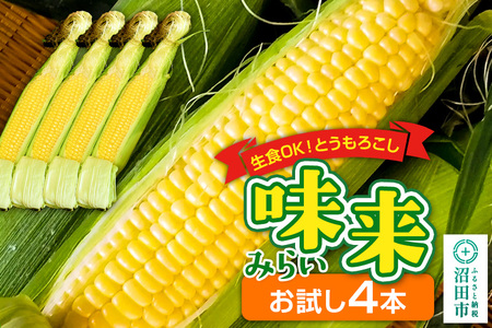 《7月中旬～9月中旬発送》とうもろこし 味来 お試しセット（4本）