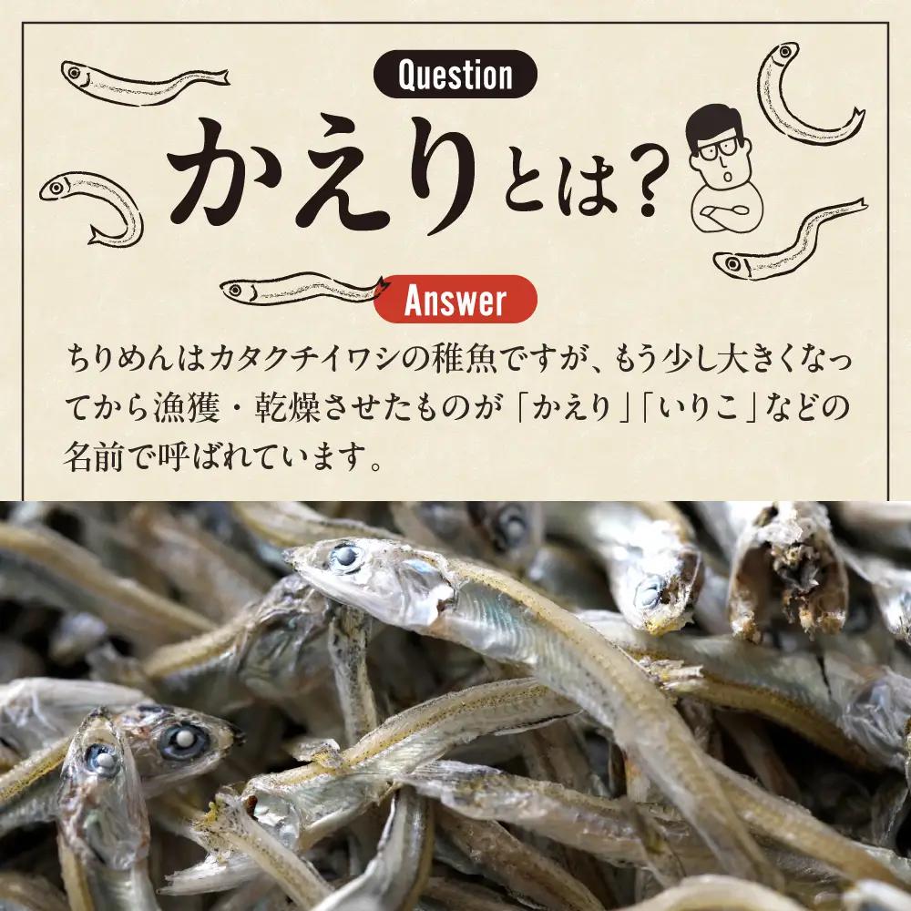 倉橋かえり500g 宮原水産 カタクチイワシ 煮干し カルシウム