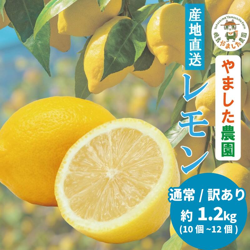 【ふるさと納税】 【2026年10月順次発送】 レモン 1.2kg (10~12個) 通常 訳あり レモン れもん 檸檬 柑橘 フルーツ 果物 完熟 国産 新鮮 果汁 レモンサワー お酒 ハイボール ジュース 酎ハイ ケーキ 揚げ物 唐揚げ スイーツ デザート ピール 小松島 徳島