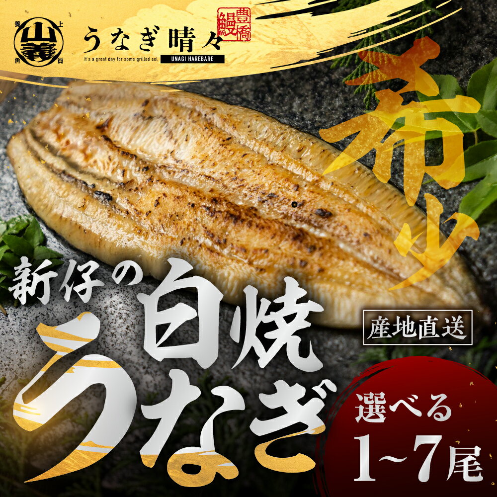 【ふるさと納税】＼★5 高評価／ 希少 山義養魚の『うなぎ晴々』白焼 厳選 国産 新仔うなぎ 若うなぎ 鰻 簡易包装 ウナギ うなぎ 鰻 ギフト 配布 最高級 土用丑の日 ギフト 冷凍 お取り寄せ 送料無料 わさび や 山椒 塩 で 大人の贅沢 豊橋うなぎ 日本酒にもよくあう 豊橋