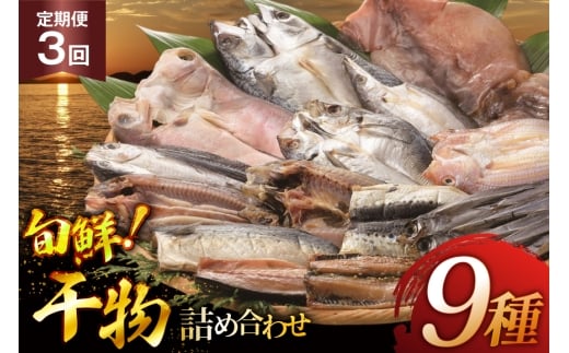 おつまみ イカ 旬魚 平戸 干物 9種 詰め合せ 定期便 3回 [森崎水産 長崎県 平戸市 hr42bgy410097] いか セット 詰合せ 干物 干物セット 一夜干し いかめし 冷凍 国産 ひもの 魚 定期 3ヶ月