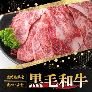 鹿児島県産 黒毛和牛 切落し 計1kg 【さつま屋産業】 牛肉 切り落とし_y427