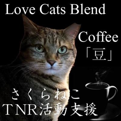 ふるさと納税 富士吉田市 【毎月定期便】さくらねこ支援コーヒー　豆　200g×2袋　合計400g全12回