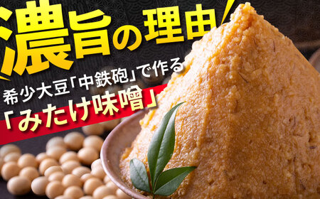 「元祖みたけとんちゃん」 昔ながらのミックスホルモン 4袋 / モツ もつ レバー ホルモン / 御嵩町 / 藤よし[AVAA049]