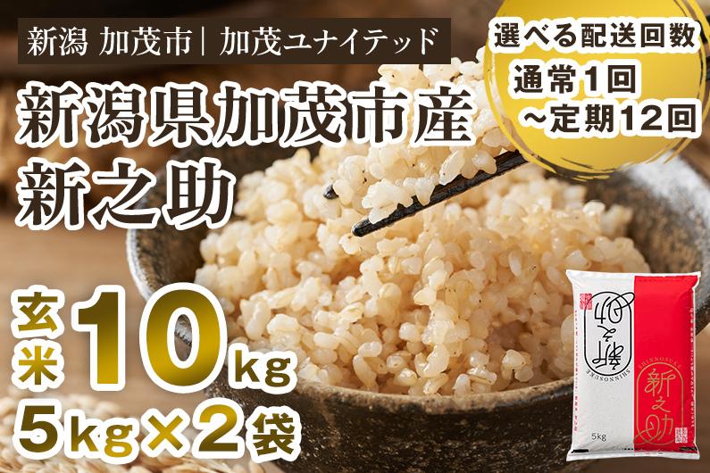 
                  【令和7年産】【選べる定期便】新潟県産 新之助 玄米10kg 定期便 《5kg×2袋》《順次発送》 新潟県産新之助 新潟産新之助 加茂市産新之助 新之助 しんのすけ 新潟 ブランド米 新之助 加茂市 加茂ユナイテッド
                
