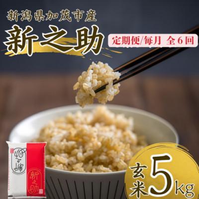 ふるさと納税 加茂市 【発送月固定定期便】新之助　玄米5kg　2026年10月上旬より順次発送全6回