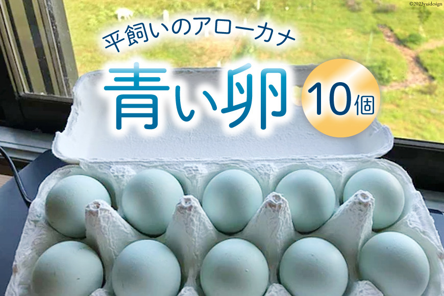 
平飼いのアローカナ卵 10個 [ら ぷち ふぁみ～ゆ 北海道 剣淵町 14656182]
