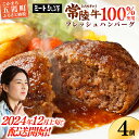 【ふるさと納税】【お肉好きが注目する超人気店】「ミート矢澤」の常陸牛100％フレッシュハンバーグ 160g×4個（ソース付き）【数量限定50セット】【2024年12月上旬より順次発送】 惣菜 黒毛和牛 専門店 肉汁 牛肉 国産 手ごね 手作り お弁当 おかず 高級 贈り物 人気