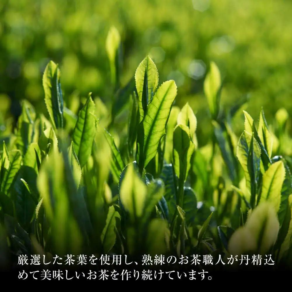 新茶 煎茶セット 300g 化粧箱入り / 菊之園[AWAG008]煎茶新茶