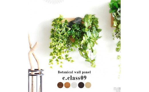 
Botanical c.class 09
