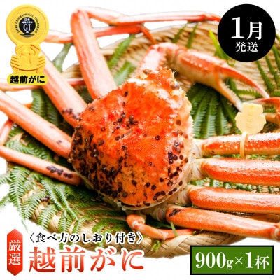 ≪浜茹で≫ 越前がに 中サイズ × 1杯【1月発送分】【配送不可地域：離島・北海道・沖縄】【1372632】