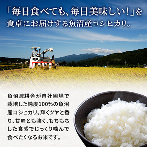 無洗米 米農家自慢の 魚沼産 コシヒカリ2kg×2袋 12ヶ月連続お届け 米 お米 こめ こしひかり 白米 無洗 定期便 定期 隔月 新潟県 魚沼市 魚沼
